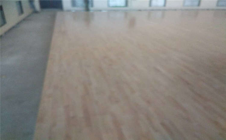 籃球?qū)嵞具\(yùn)動(dòng)地板