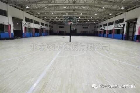 V|YBDLT HOOP PARK@򹫈@ɹ